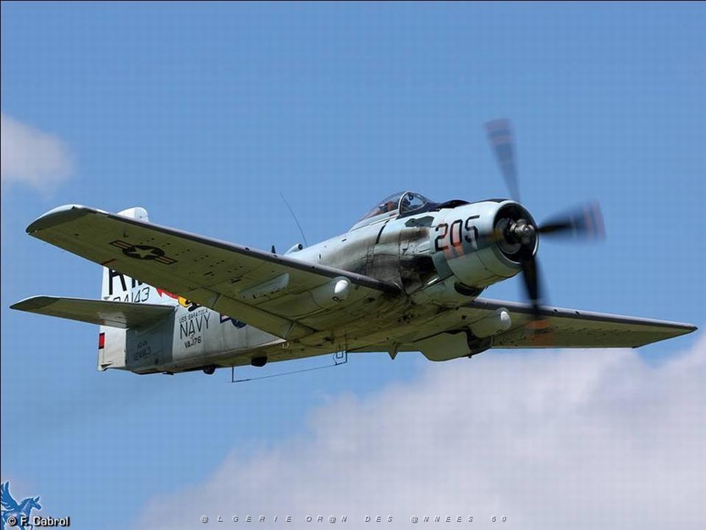 MEETING DE LA FERTE ALAIS 2009 DE JPL   (25).jpg